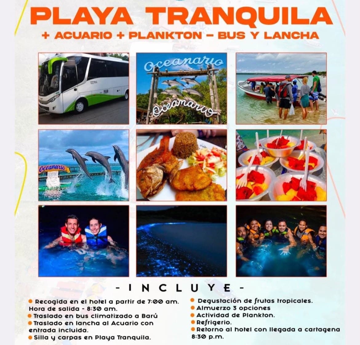 Playa tranquila más acuario más plankton