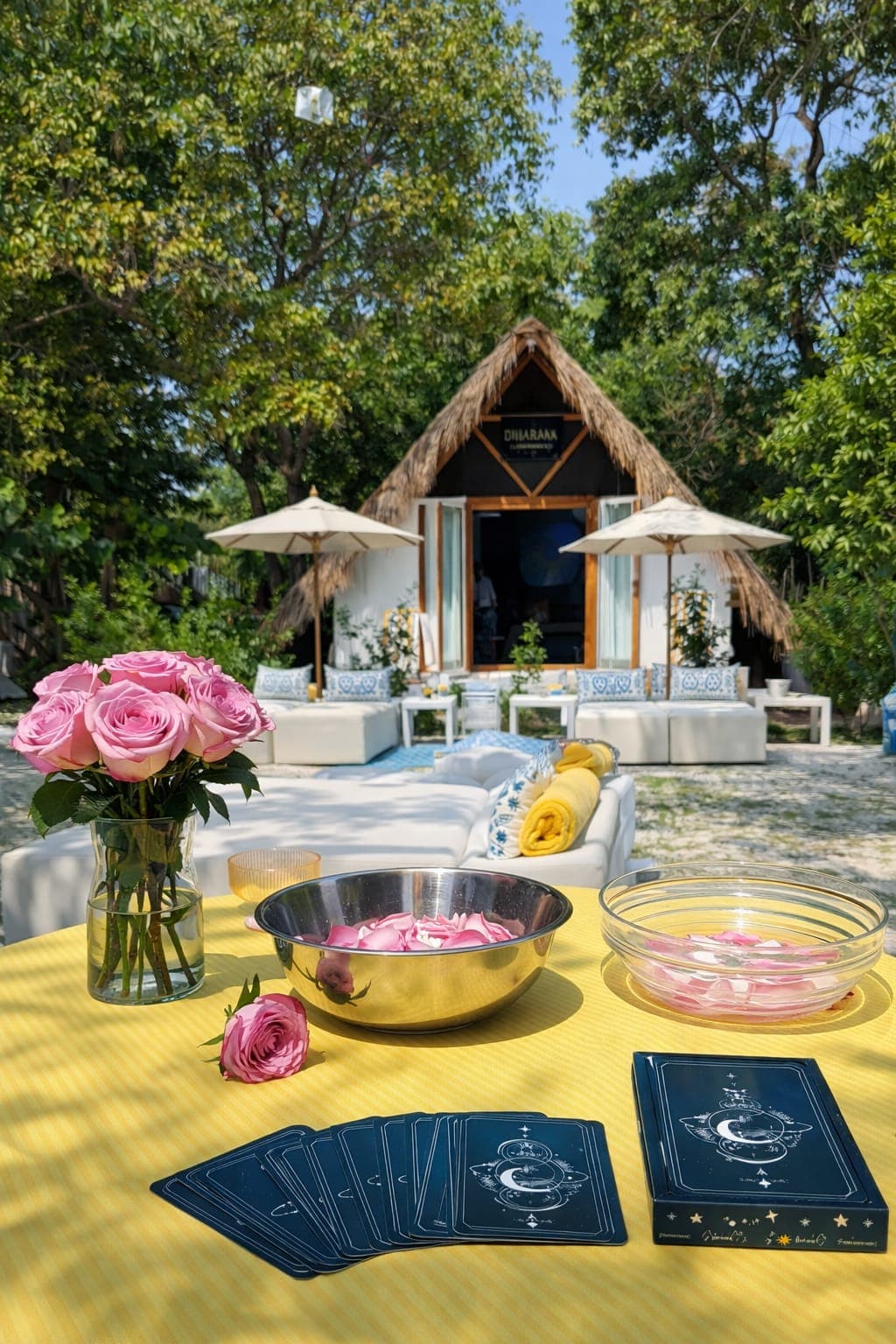 Dharma beach club full day estándar