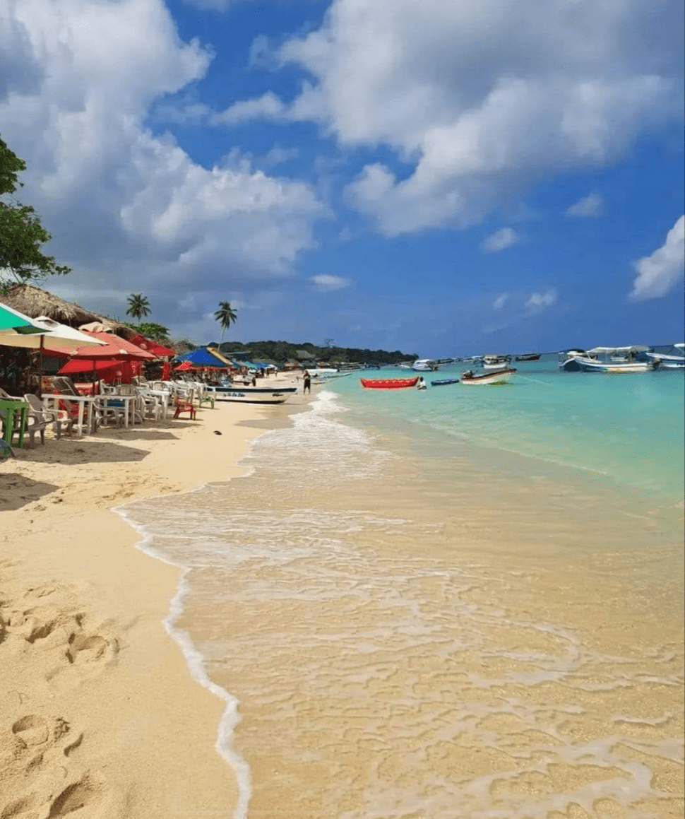 Playa blanca terrestre